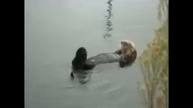 Калан кайфует смотреть онлайн