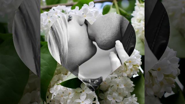 Сергей Одинцов (Поцелуй меня 💋💋💋) смотреть онлайн