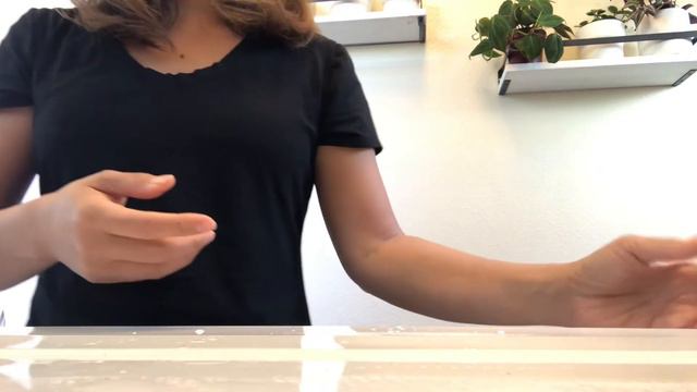 PLANT PROPAGATION: What Houseplants I’m Propagating | WATER, SOIL, MOSS and LECA | Updates & How T смотреть онлайн