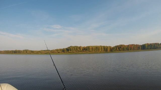 Лес река рыбалка 2019