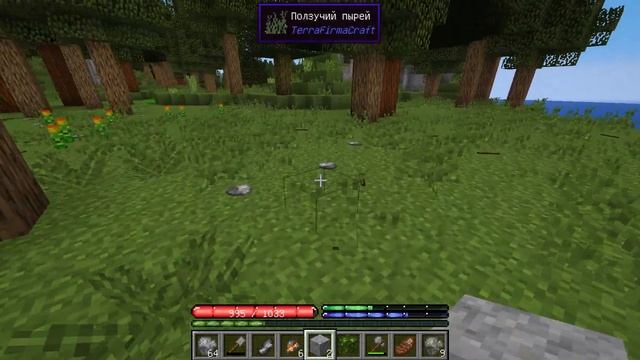 ОГРЕСИВНЫЕ МЕДВЕДИ, ЗОЛОТО И СВИНЬИ | TerraFirmaCraft 1.12.2 смотреть онлайн
