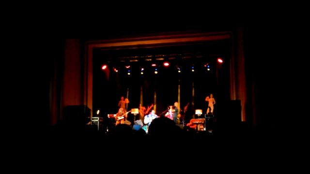 Фикус религиозный смотреть онлайн