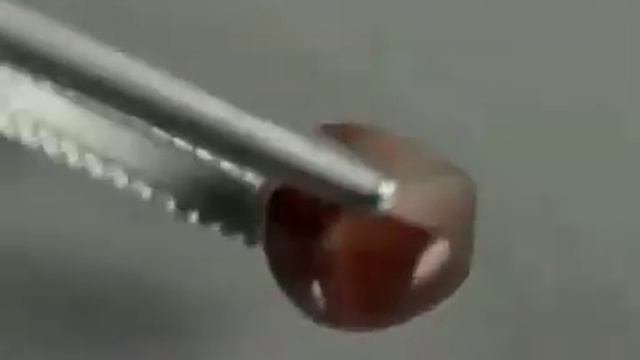 Камень скаполит "Кошачий глаз" натуральный 3.08 карат Артикул: 19085 цена: 925 руб смотреть онлайн