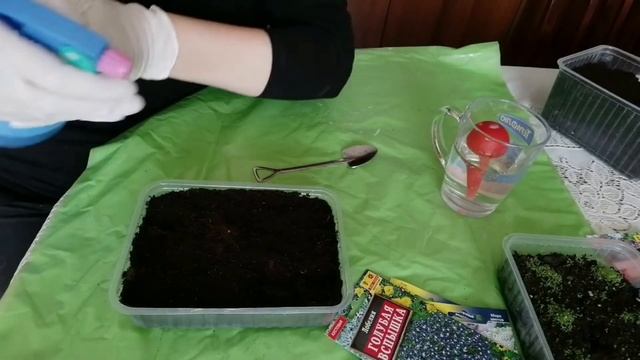 ЛОБЕЛИЯ ИЗ СЕМЯН | ОСОБЕННОСТИ ПОСЕВА | ЯРКИЙ ОДНОЛЕТНИК В НАШЕМ САДУ смотреть онлайн