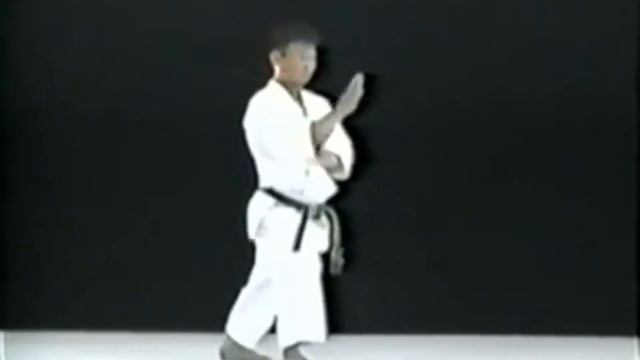 Шито-рю каратэ.Ката Мацумура Рохай и бункай.Matsumura Rohai  Bunkai Kata Shito Ryu