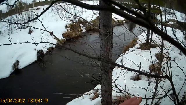 С летней удочкой за окунем смотреть онлайн