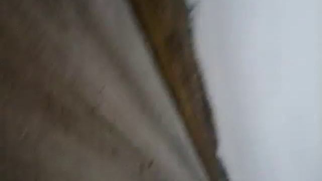 дпс смотреть онлайн