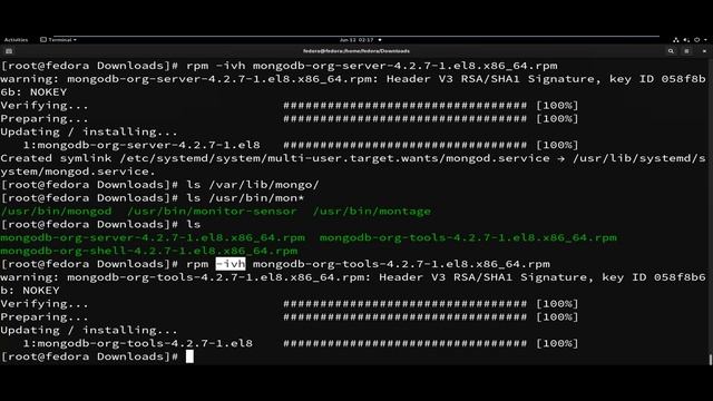 How To Install mongoDB 4.2.7 Using RPM Bundle On Fedora 32 In Telugu 20 смотреть онлайн