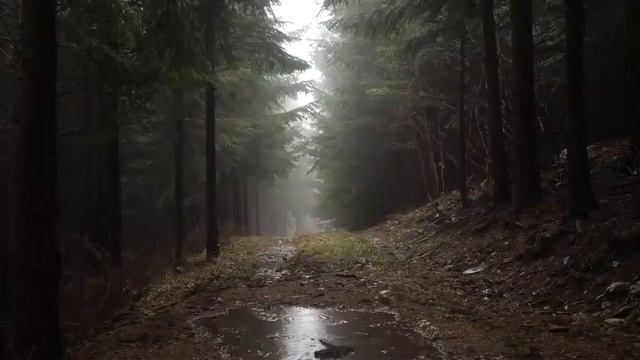 10 часов сладкого безмятежного сна. Шум дождя. Релаксация. Отдых смотреть онлайн