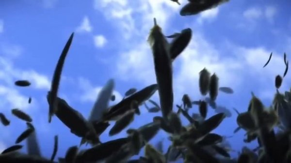 Princessa Vs. Kiss The Beat - Anyone But You (Martik C Rmx).mp4