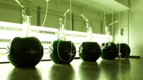 Где и как производят wellness by Oriflame