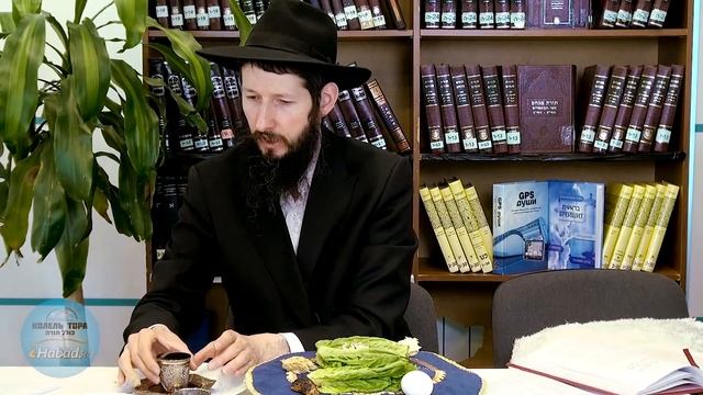 Показательный седер Песах. Как проводят седер? (Подготовку нужно сделать ДО наступления праздника!) смотреть онлайн