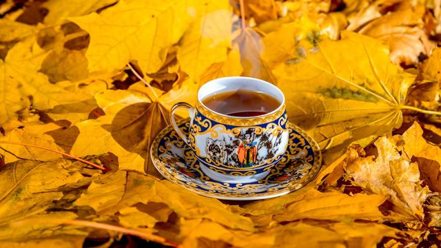 Мягкая джазовая музыка и босса-нова для хорошего настроения☕ Музыка в Positive Jazz Lounge смотреть онлайн
