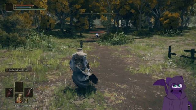 Elden Ring Item and Enemy Randomizer (Ok then) смотреть онлайн
