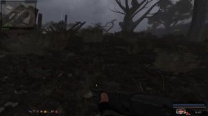 S.T.A.L.K.E.R В АДУ ПСЫ прохождение #8 ЖЕНА СТАРОГО И ИКОНА