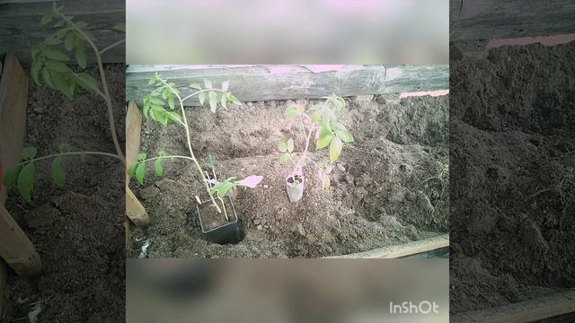  смотреть онлайн