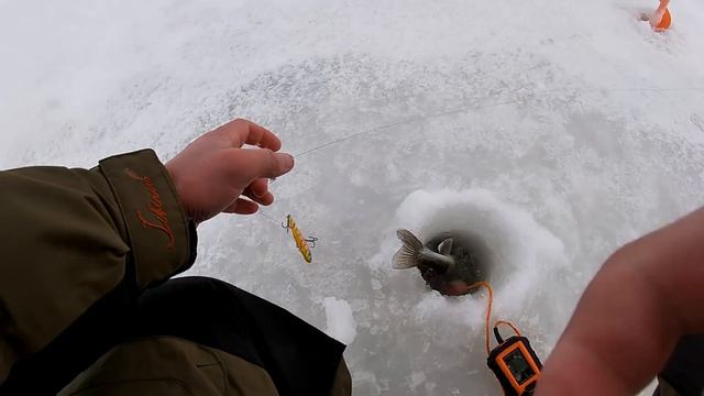 Bassday сделал эту рыбалку.Рыбалка на Каме,Судак на вибы смотреть онлайн