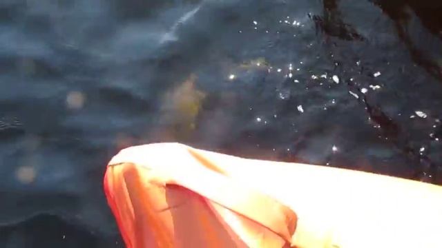 Карелия 2015 смотреть онлайн