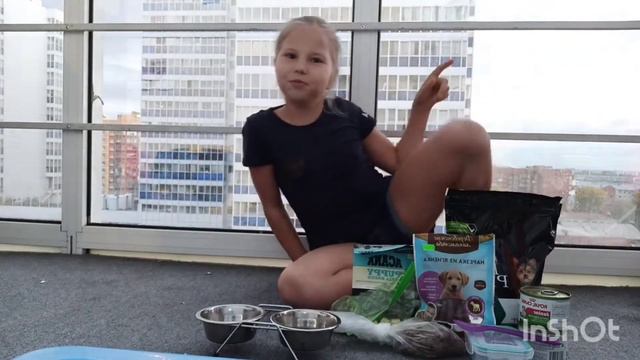 Что нужно для появления щенка дома! смотреть онлайн