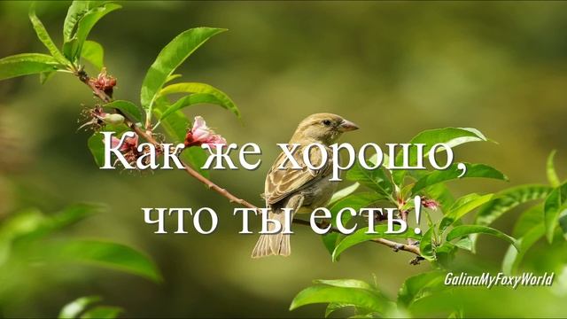 ЭТА МЫСЛЬ СОГРЕВАЕТ МЕНЯ смотреть онлайн