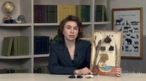 Горные породы. Видеоурок по окружающему миру 3  класс