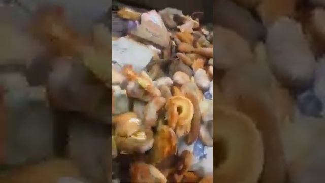 Помойка хлебокомбината в Южно-Сахалинске смотреть онлайн