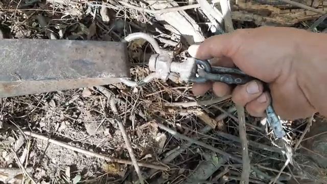 Поймал 37го волка на свой День Рождения смотреть онлайн