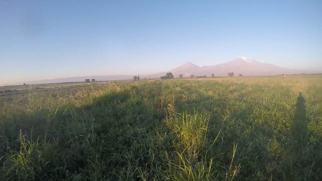 Парная работа сеттера и ретривера смотреть онлайн