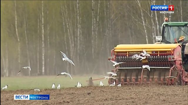 В регионе появился свой закон «о тишине» и стало больше «костромских гектаров» смотреть онлайн