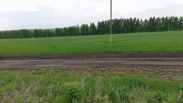 Дороги Волоконовского района Белгородской области смотреть онлайн