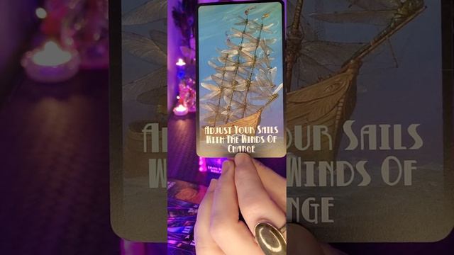 My first deck! A Light Seer's Oracle ? A reveal! смотреть онлайн