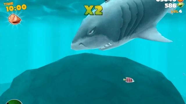 Hungry Shark Evolution Megalodon Gameplay iPad/iPhone/iPod HD 1080p смотреть онлайн