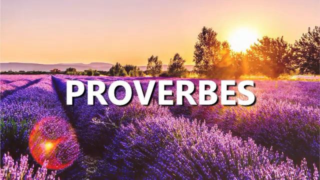 Proverbes (Proverbs) French | Good News | Audio Bible смотреть онлайн