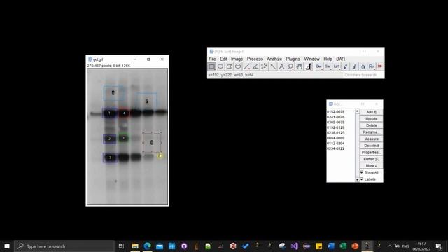 ROI group attribute for category annotations смотреть онлайн