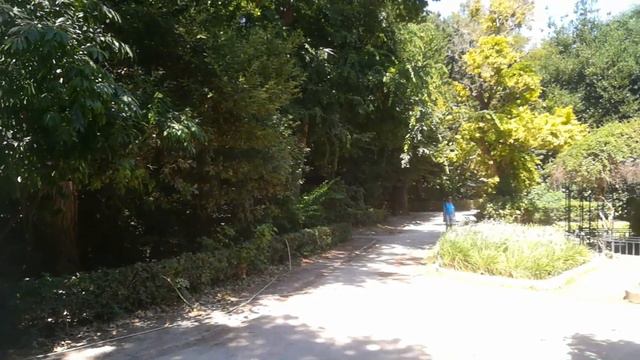 Национальный парк. Афины. Греция.National Park.Athens.Greece смотреть онлайн