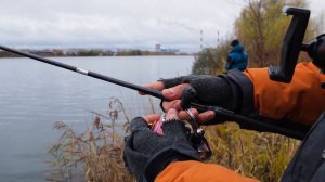 Обзор новинок Crazy Fish Alpha 762LT и Optimus 712ULS.