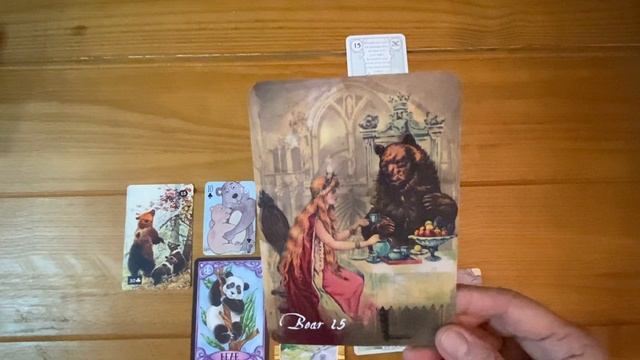 Everything you need to know about the Petit Lenormand Bear card! смотреть онлайн