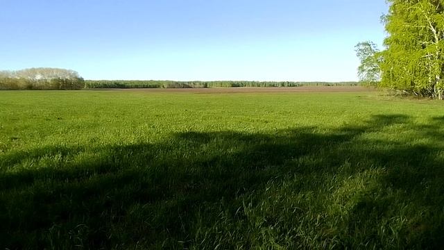 О малой родине - стихами к 60-летию В.А.Рощупкина смотреть онлайн