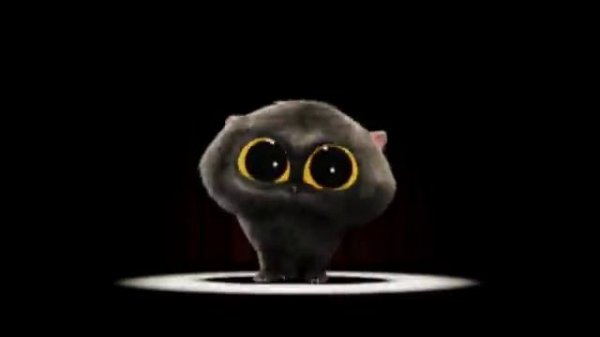 KITTEH KITTEH Scatman cat