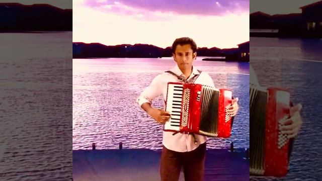 Despacito - Accordion Cover BINARA JAYASINGHE смотреть онлайн