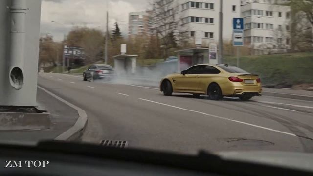 Arthur Distone - WOUNDED SWAN