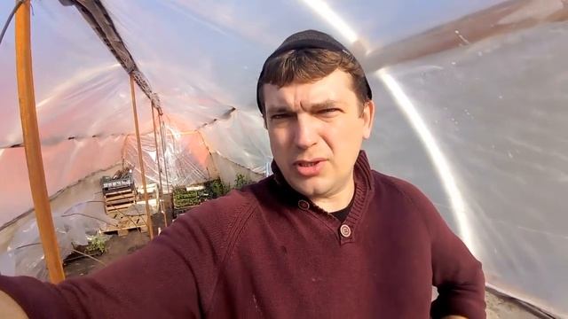 Начало сезона. Малина из маточного корня. смотреть онлайн