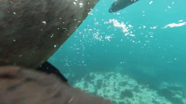 Спокойная музыка для крепкого сна, расслабления и успокоения нервов