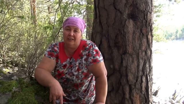 ГРИБЫ на СКАЛАХ || Полезные свойства и применение смотреть онлайн