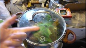 Как легко очистить аквариумные пластиковые растения