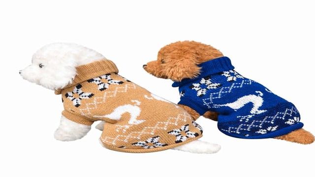 купить одежду для чихуахуа на алиэкспресс смотреть онлайн