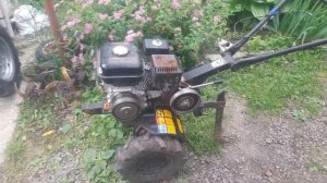 центробежное сцепление для мотоблока из скутерного