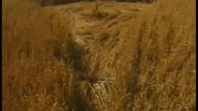 Непознанные миры. Круги на полях. В поисках знака смотреть онлайн