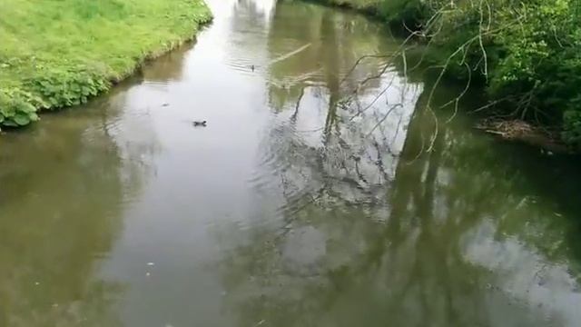 ГЕРМАНИЯ День со мной (Типичный немецкий городок) смотреть онлайн