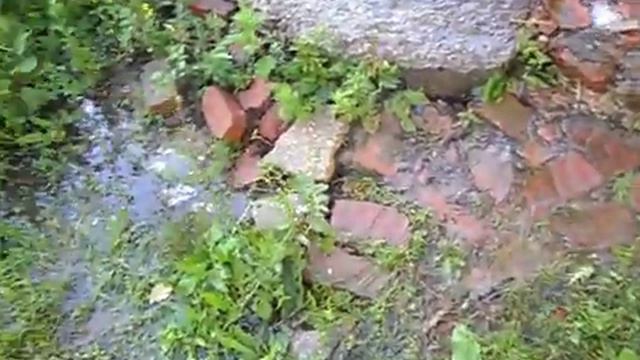 Как бережём мы воду в городе Пугачёве смотреть онлайн